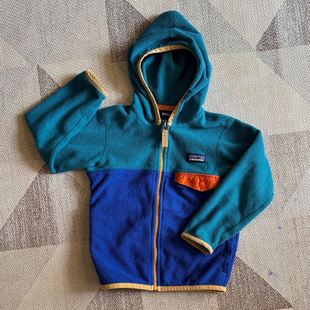 Patagonia micro-d fleece hoody